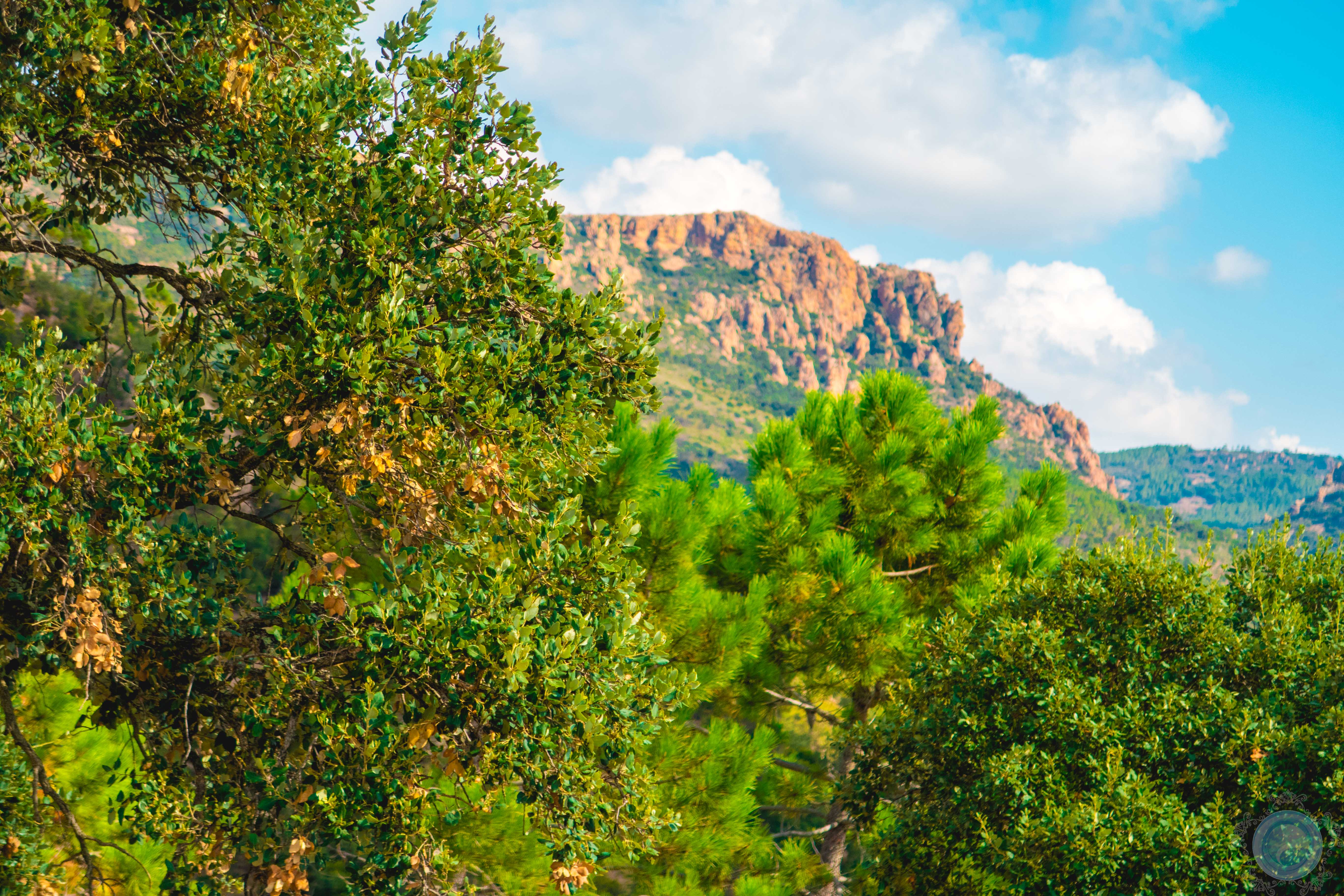 domaine de l'esterel